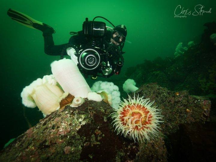unterwasser kameramann onderwater cameraman operateur caméra sous-marine Peter Mieras